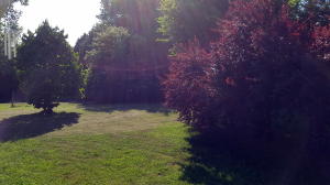 1040 Talbott Kansas Rd, Talbott, TN 37877 photo 27