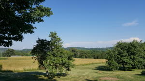 1040 Talbott Kansas Rd, Talbott, TN 37877 photo 7