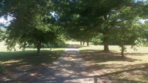 1040 Talbott Kansas Rd, Talbott, TN 37877 photo 6