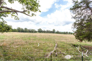 7920 Coppock Rd, Corryton, TN 37721 photo 38