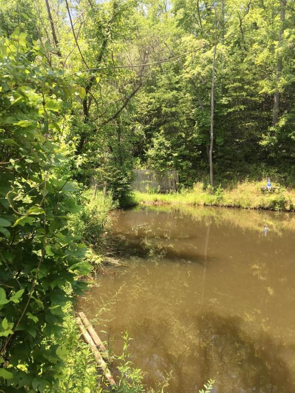 206 Batley Loop Rd, Clinton, TN 37716 photo 7