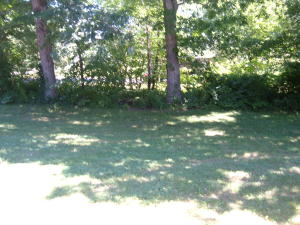 1977 W 3rd Ave, Oneida, TN 37841 photo 19