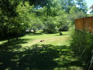1977 W 3rd Ave, Oneida, TN 37841 photo 20