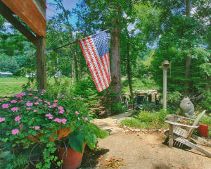 231 Riverview Rd, Townsend, TN 37882 photo 3