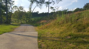 113 Pine Rd, Clinton, TN 37716 photo 25