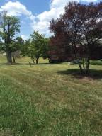 7603 Clapps Chapel Rd, Corryton, TN 37721 photo 4