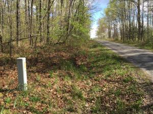 236 Bowater Rd, Deer Lodge, TN 37726 photo 23