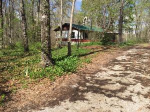 236 Bowater Rd, Deer Lodge, TN 37726 photo 25