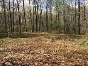 236 Bowater Rd, Deer Lodge, TN 37726 photo 22