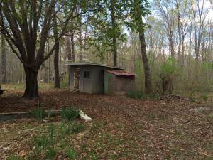 236 Bowater Rd, Deer Lodge, TN 37726 photo 2