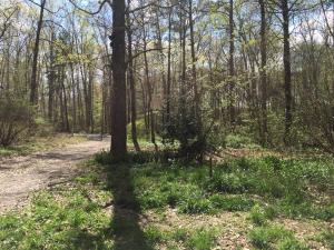 236 Bowater Rd, Deer Lodge, TN 37726 photo 19