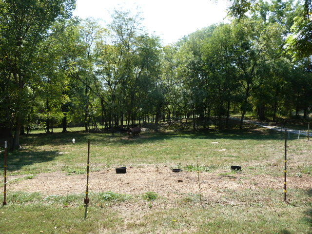 8627 NEmory Rd, Corryton, TN 37721 photo 30