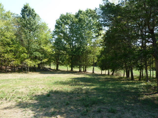 8627 NEmory Rd, Corryton, TN 37721 photo 29