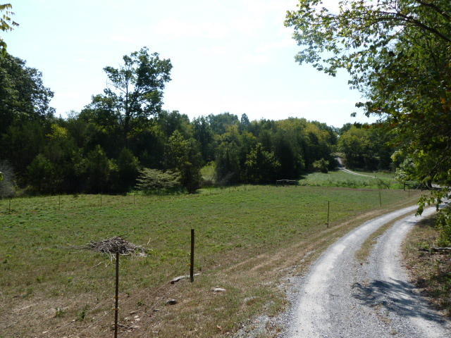 8627 NEmory Rd, Corryton, TN 37721 photo 26