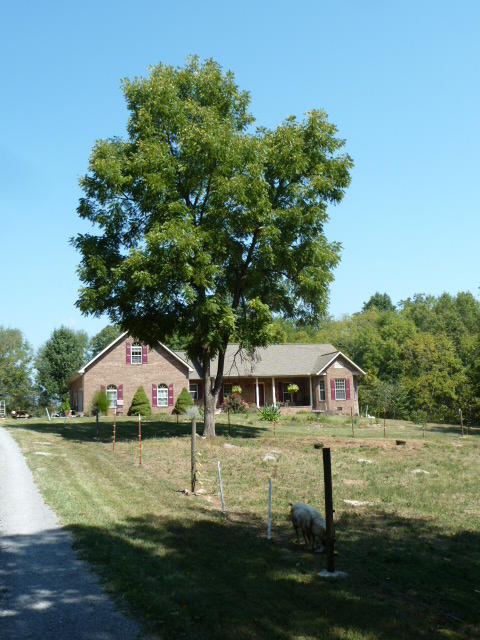 8627 NEmory Rd, Corryton, TN 37721 photo 28