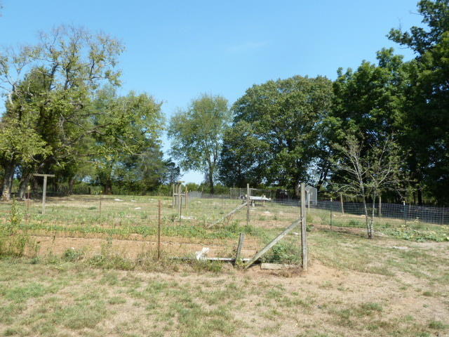 8627 NEmory Rd, Corryton, TN 37721 photo 18