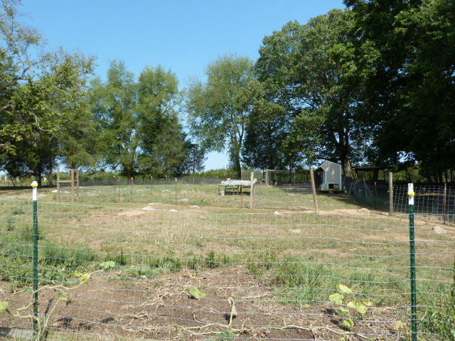 8627 NEmory Rd, Corryton, TN 37721 photo 19