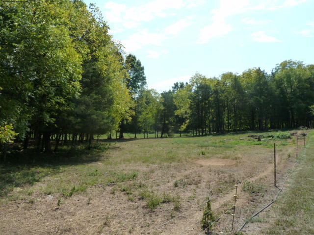 8627 NEmory Rd, Corryton, TN 37721 photo 20