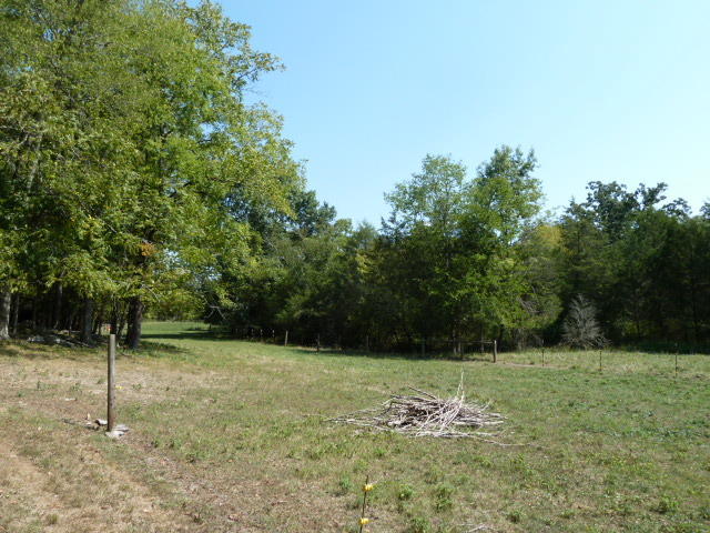 8627 NEmory Rd, Corryton, TN 37721 photo 27