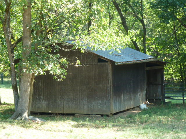 8627 NEmory Rd, Corryton, TN 37721 photo 25