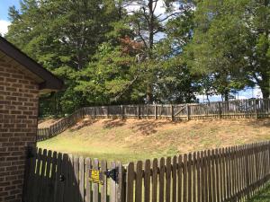7652 Applecross Rd, Corryton, TN 37721 photo 15