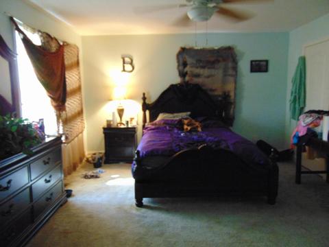 223 Cadle Ln, Harrogate, TN 37752 photo 11