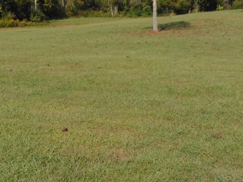 223 Cadle Ln, Harrogate, TN 37752 photo 5