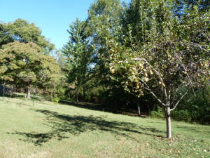 7812 Cranley Rd, Powell, TN 37849 photo 17