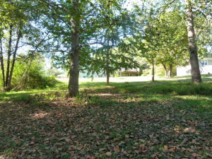 7812 Cranley Rd, Powell, TN 37849 photo 19
