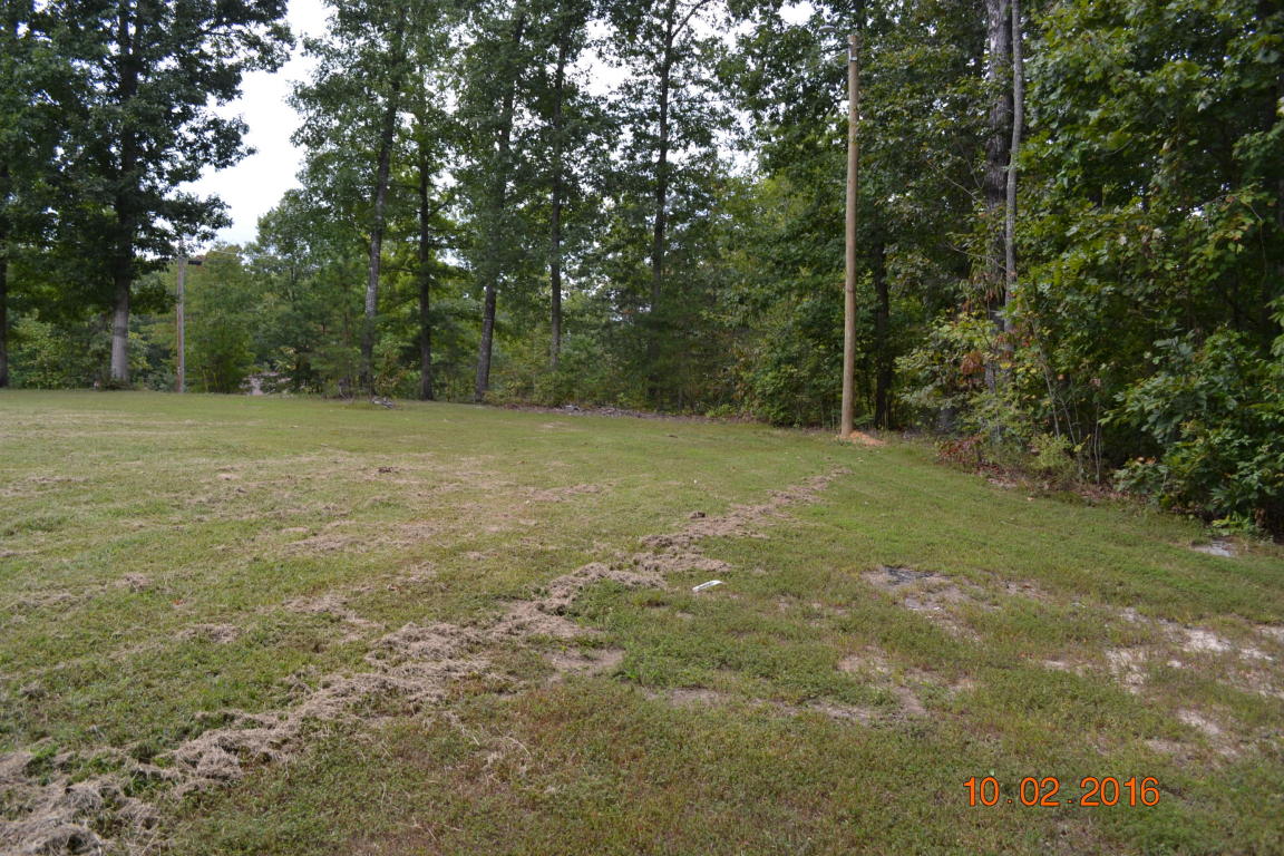 203 Frontier Dr, Grimsley, TN 38565 photo 15