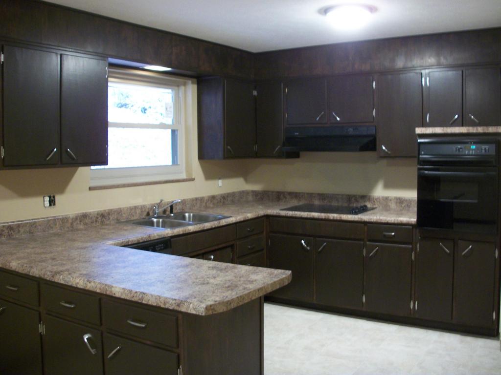 123 Maple Tree Ln, Powell, TN 37849 photo 3