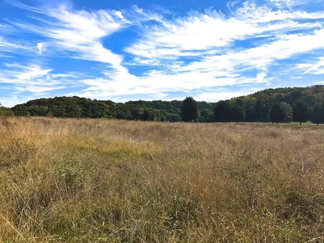 2110 Mansfield Gap Rd, Talbott, TN 37877 photo 8