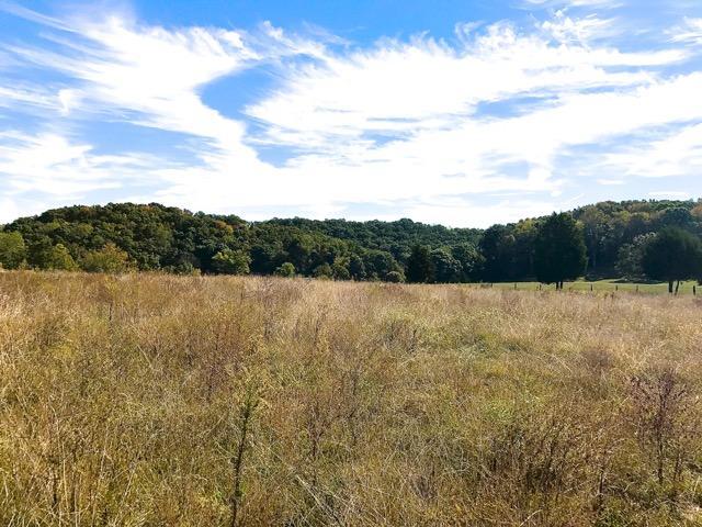 2110 Mansfield Gap Rd, Talbott, TN 37877 photo 9