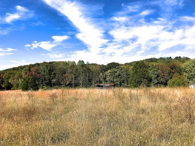 2110 Mansfield Gap Rd, Talbott, TN 37877 photo 7