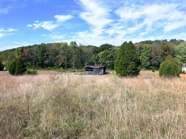 2110 Mansfield Gap Rd, Talbott, TN 37877 photo 1