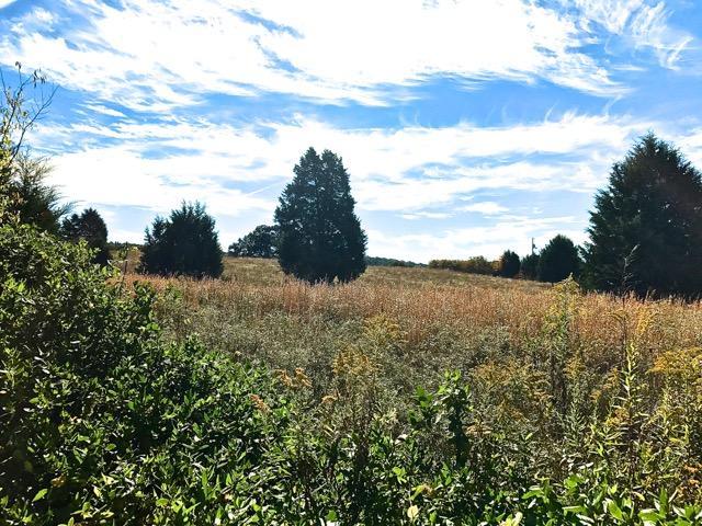 2110 Mansfield Gap Rd, Talbott, TN 37877 photo 6