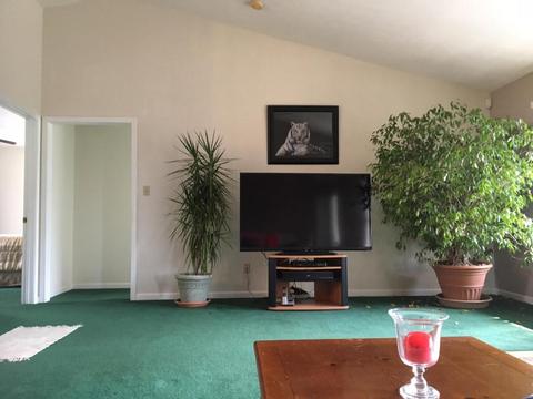 5152 Circle Rd, Corryton, TN 37721 photo 18