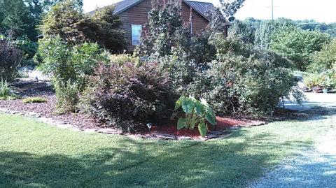 5152 Circle Rd, Corryton, TN 37721 photo 12