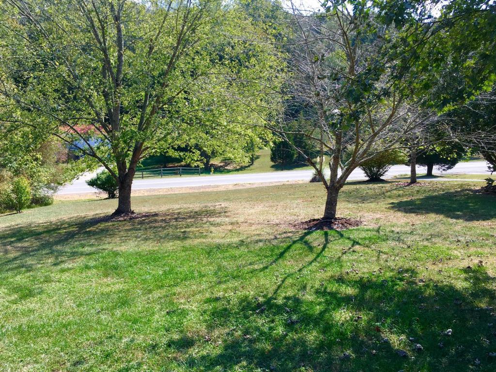 1964 E Wolf Valley Rd, Heiskell, TN 37754 photo 29