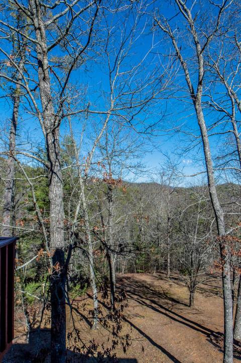 628 Hawk View Dr, Townsend, TN 37882 photo 3