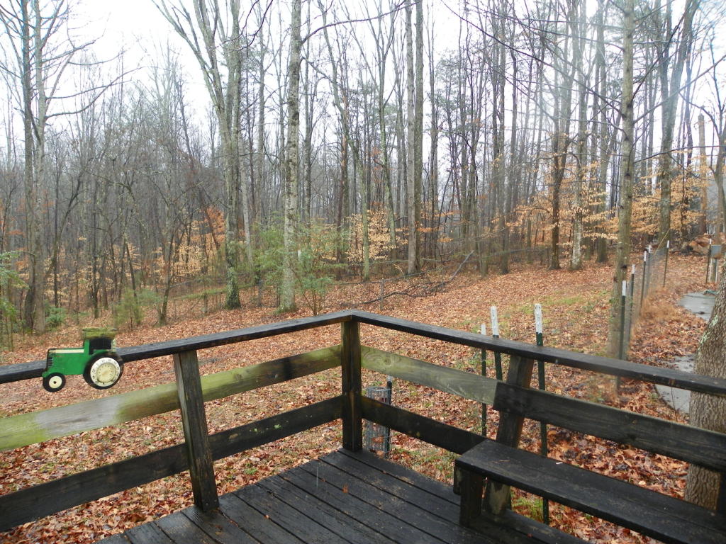 174 White Loop Rd, Clinton, TN 37716 photo 23