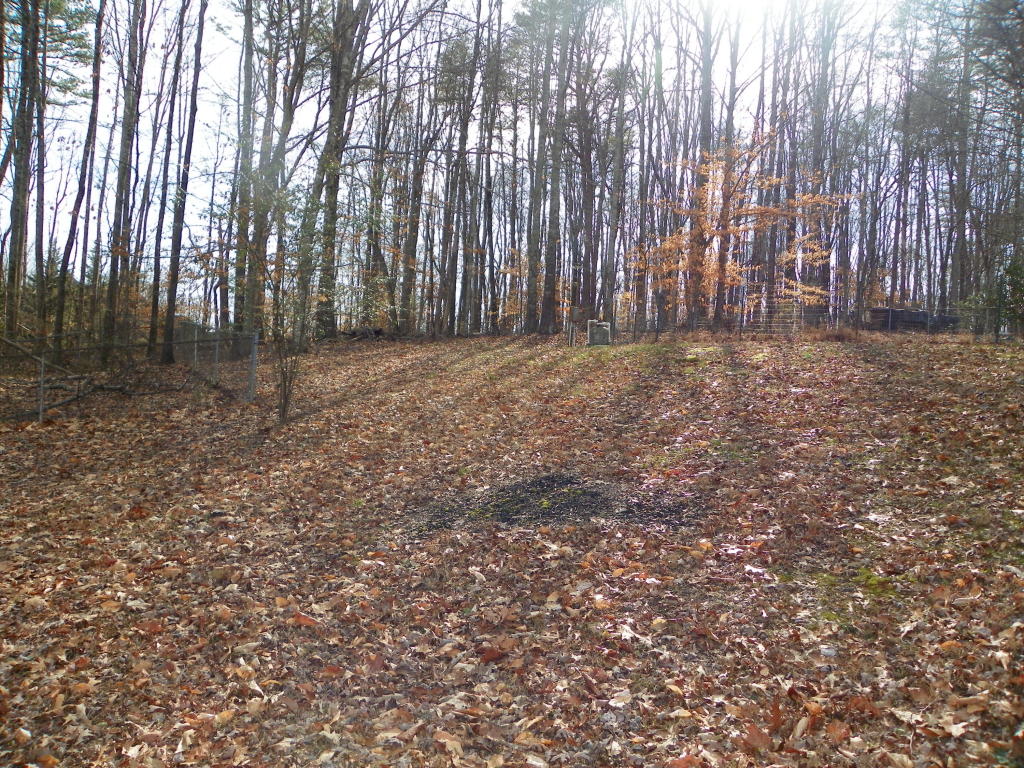174 White Loop Rd, Clinton, TN 37716 photo 4