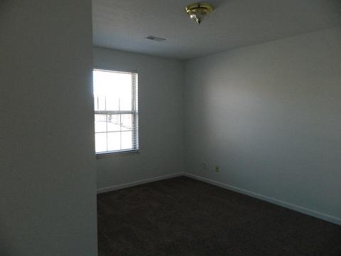 7448 Cotton Patch Rd, Corryton, TN 37721 photo 10