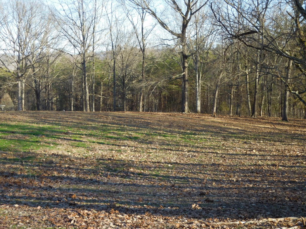 9919 Heiskell Rd, Heiskell, TN 37754 photo 4