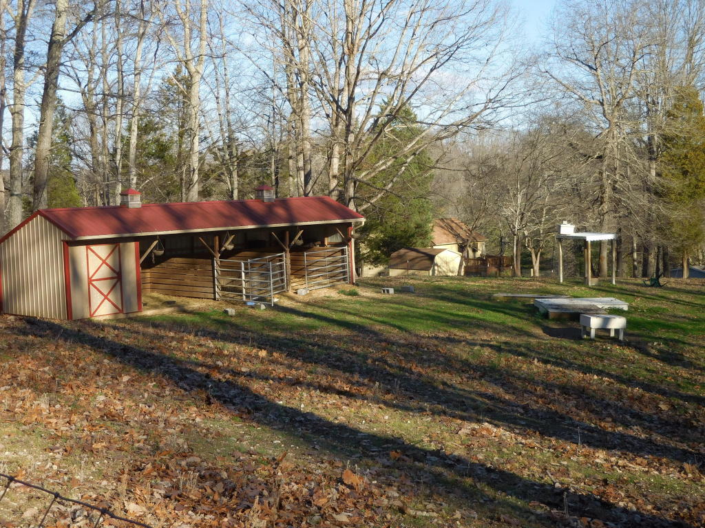 9919 Heiskell Rd, Heiskell, TN 37754 photo 3