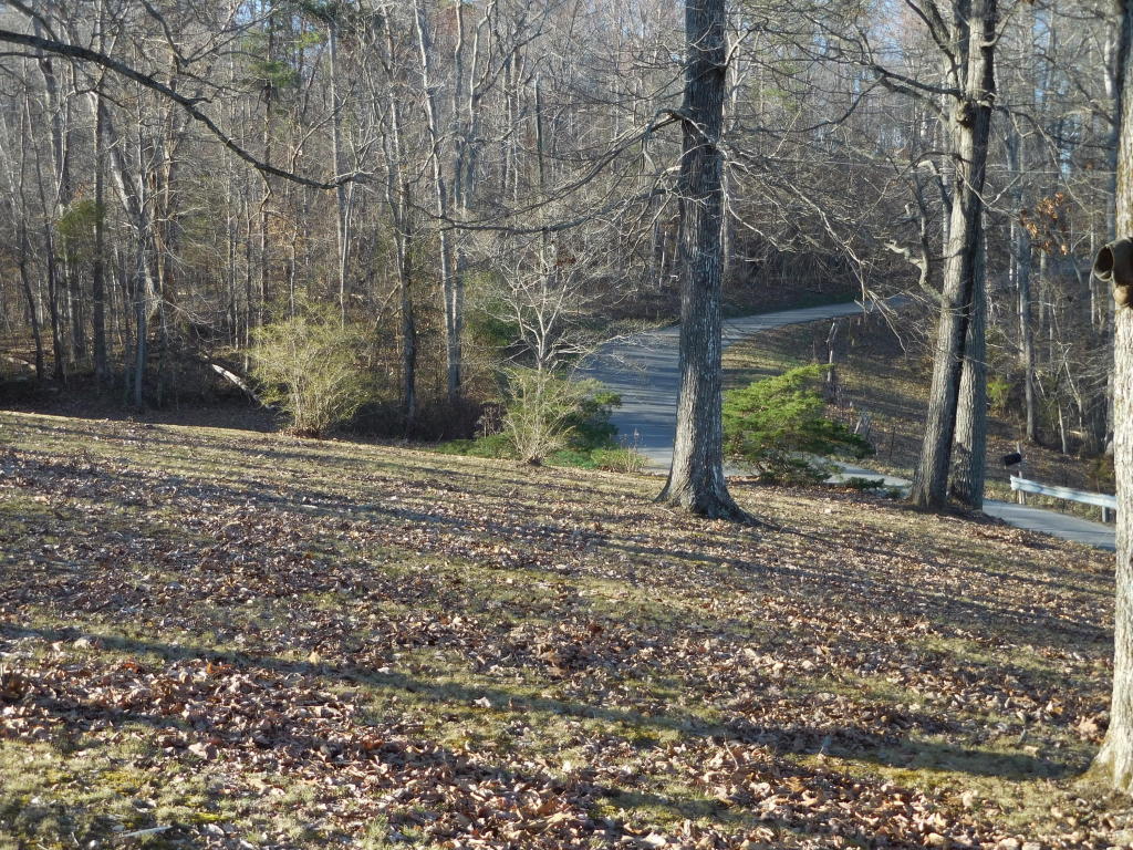 9919 Heiskell Rd, Heiskell, TN 37754 photo 6