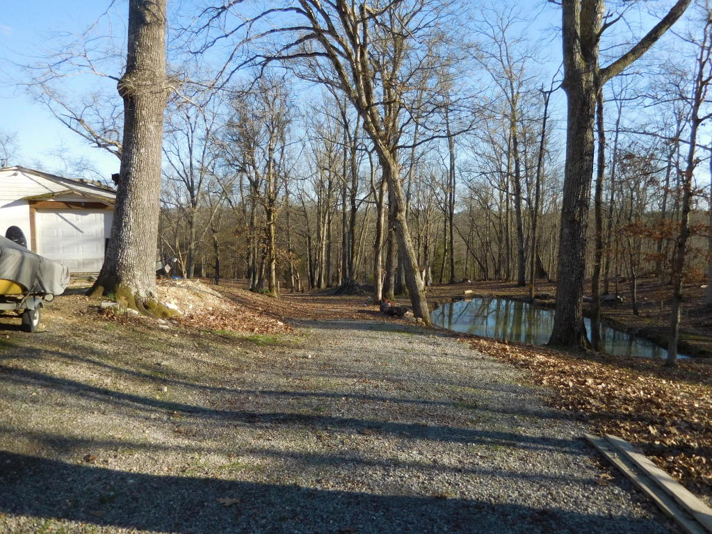 9919 Heiskell Rd, Heiskell, TN 37754 photo 8