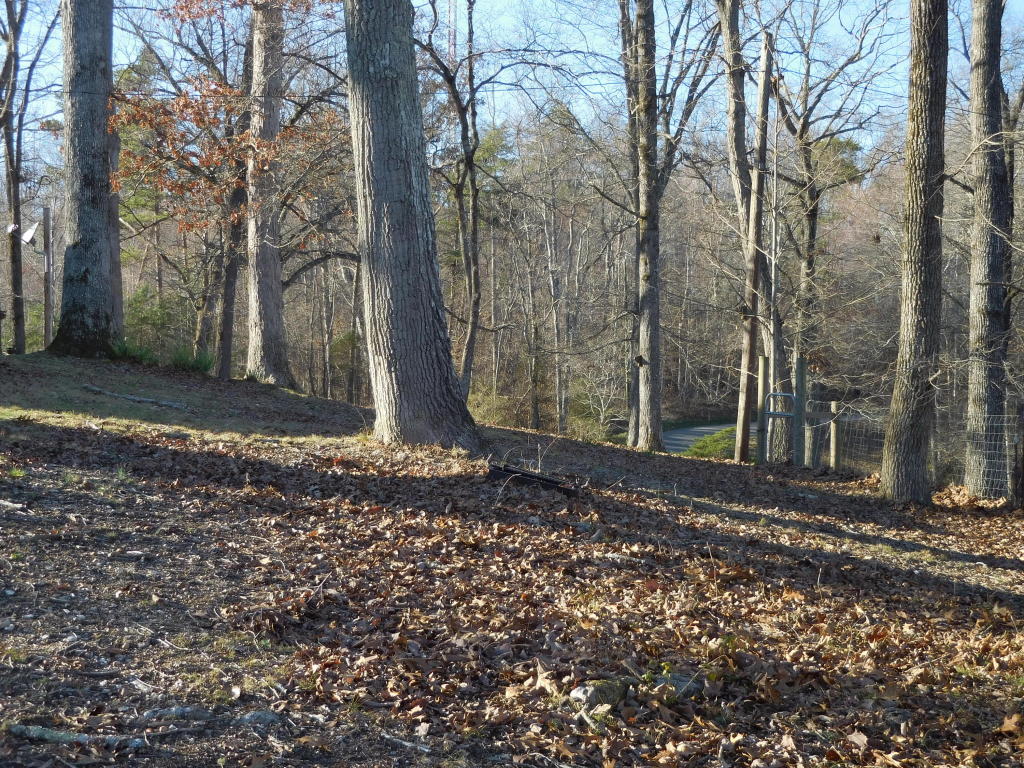 9919 Heiskell Rd, Heiskell, TN 37754 photo 5