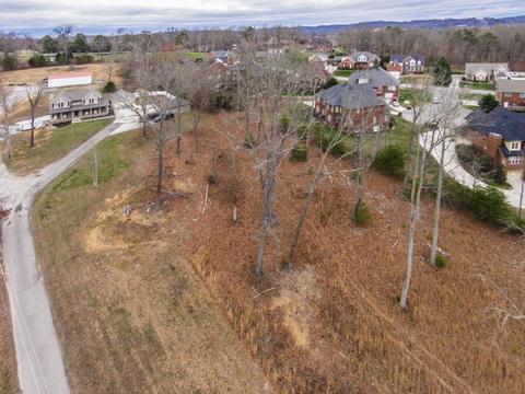 8224 Collier Rd, Powell, TN 37849 photo 30