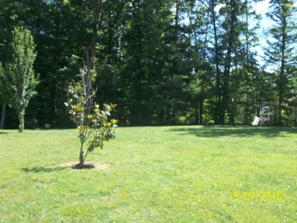 217 Emory View Rd, Lancing, TN 37770 photo 18